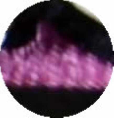 濃い紫地に濃いピンクのドット5mm（水玉）柄ネクタイ&チーフセット 